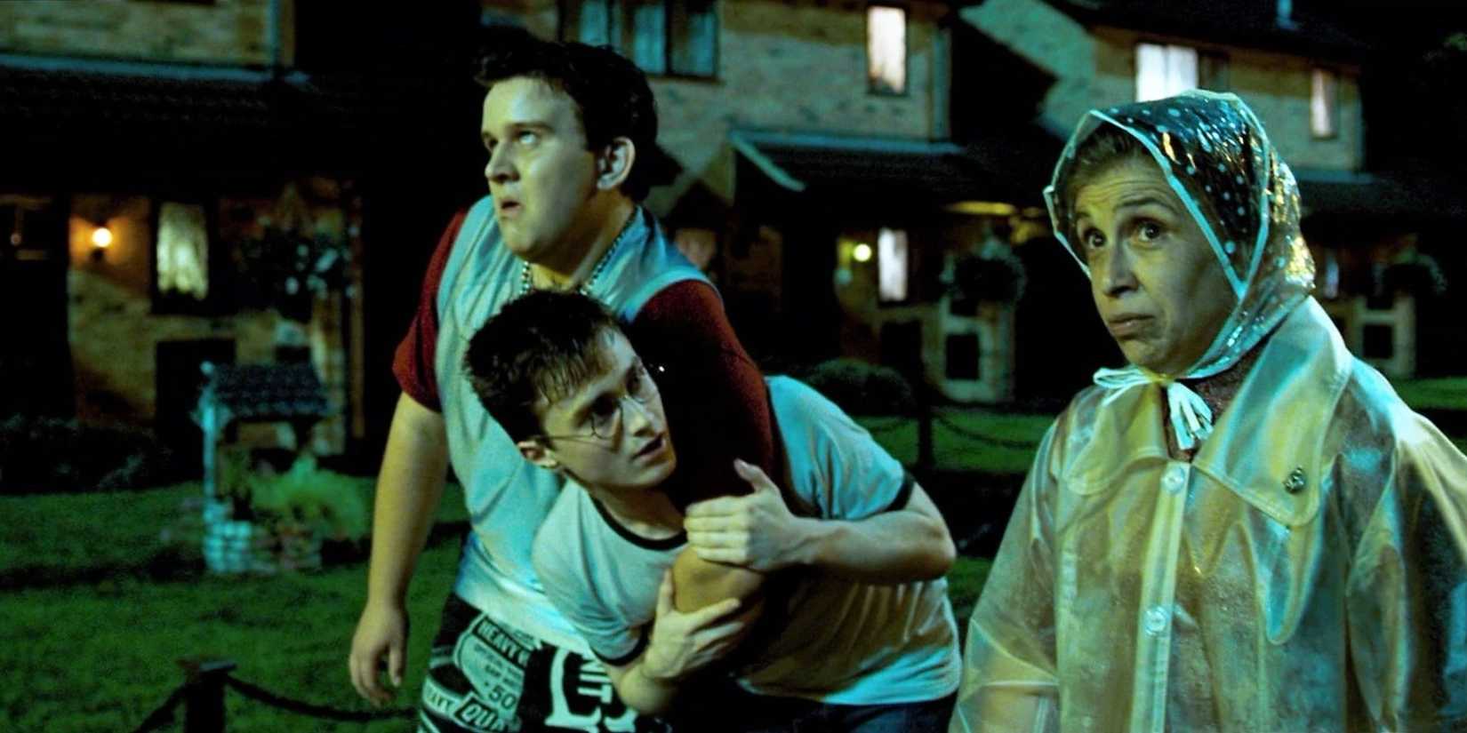 Dudley Dursley Harry Potter and Mrs. Arabella Doreen Figg in Harry Potter and the Order of the Phoenix.