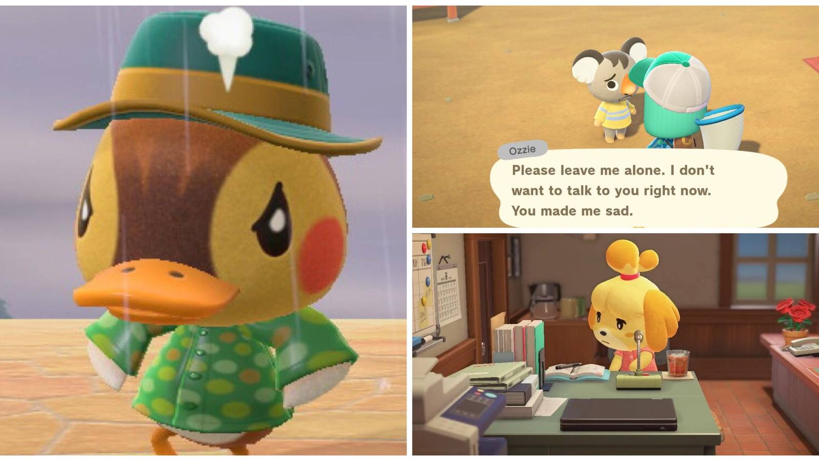 cute animal crossing villagers, isabelle at her work desk, sad villager asking to be left alone