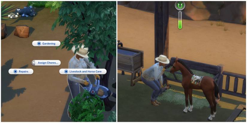 ranch hand taking care of livestock