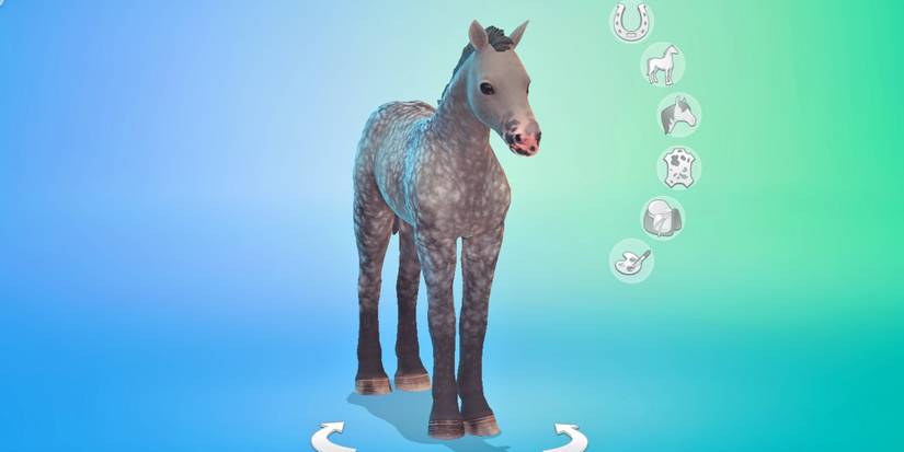 create-a-sim foal 