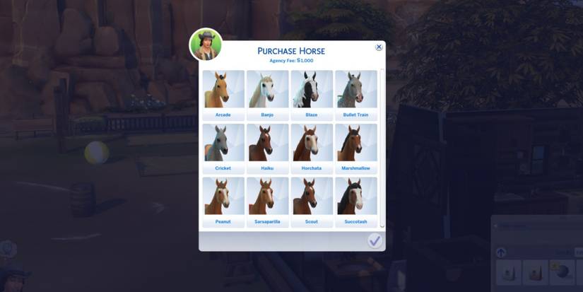 purchasing a horse in the ranch
