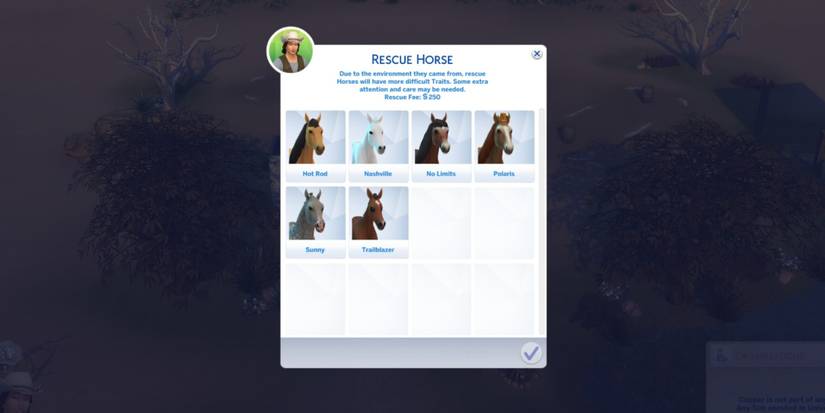 rescuing a horse at the ranch