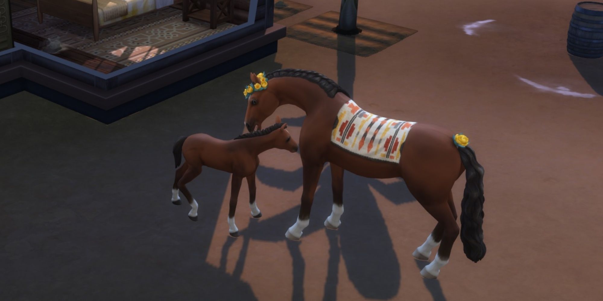 horse foal through breeding