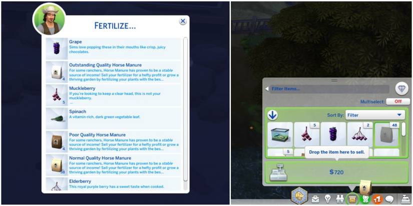 using manure for various tasks horse ranch