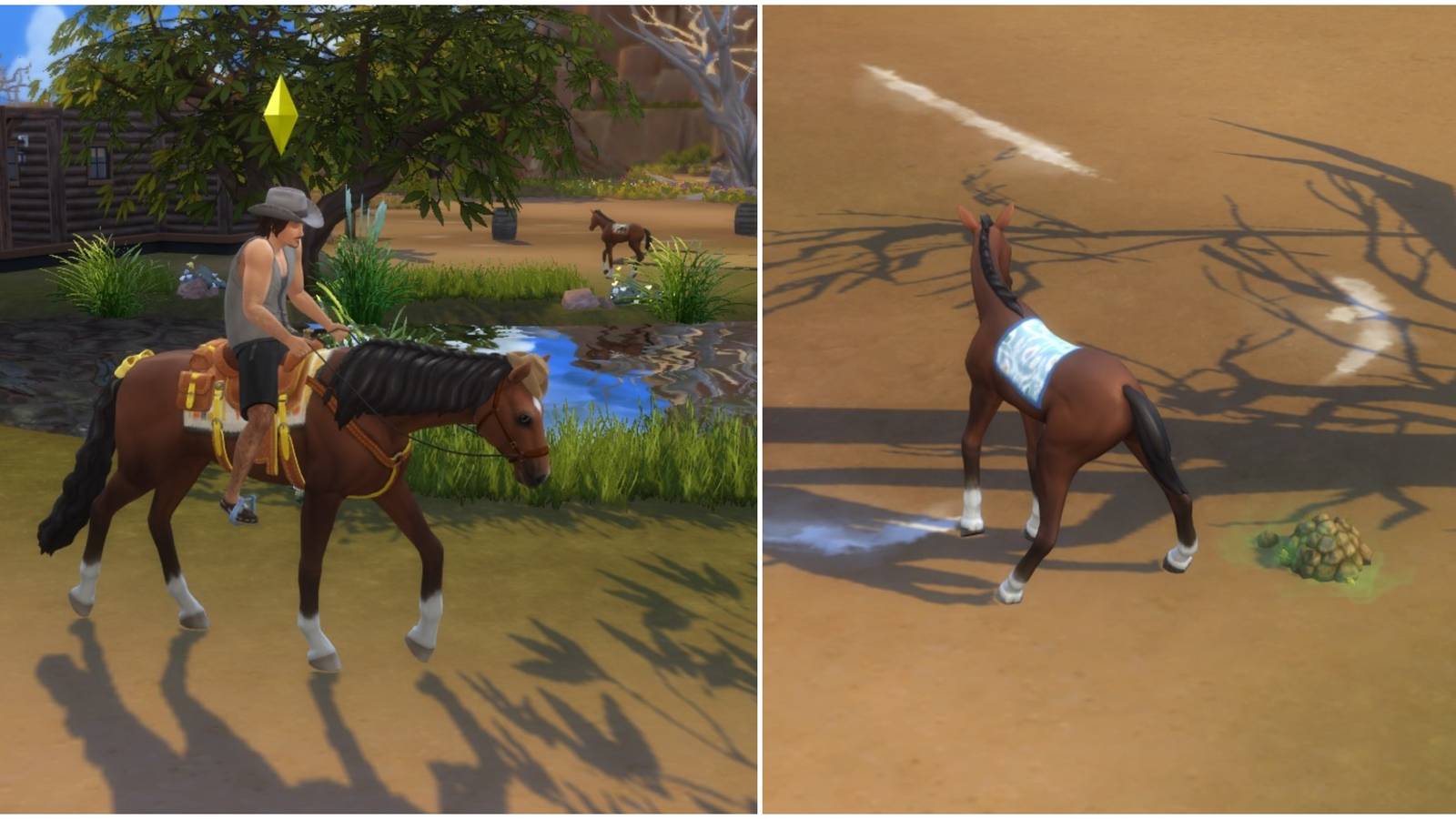 horses in a ranch with manure