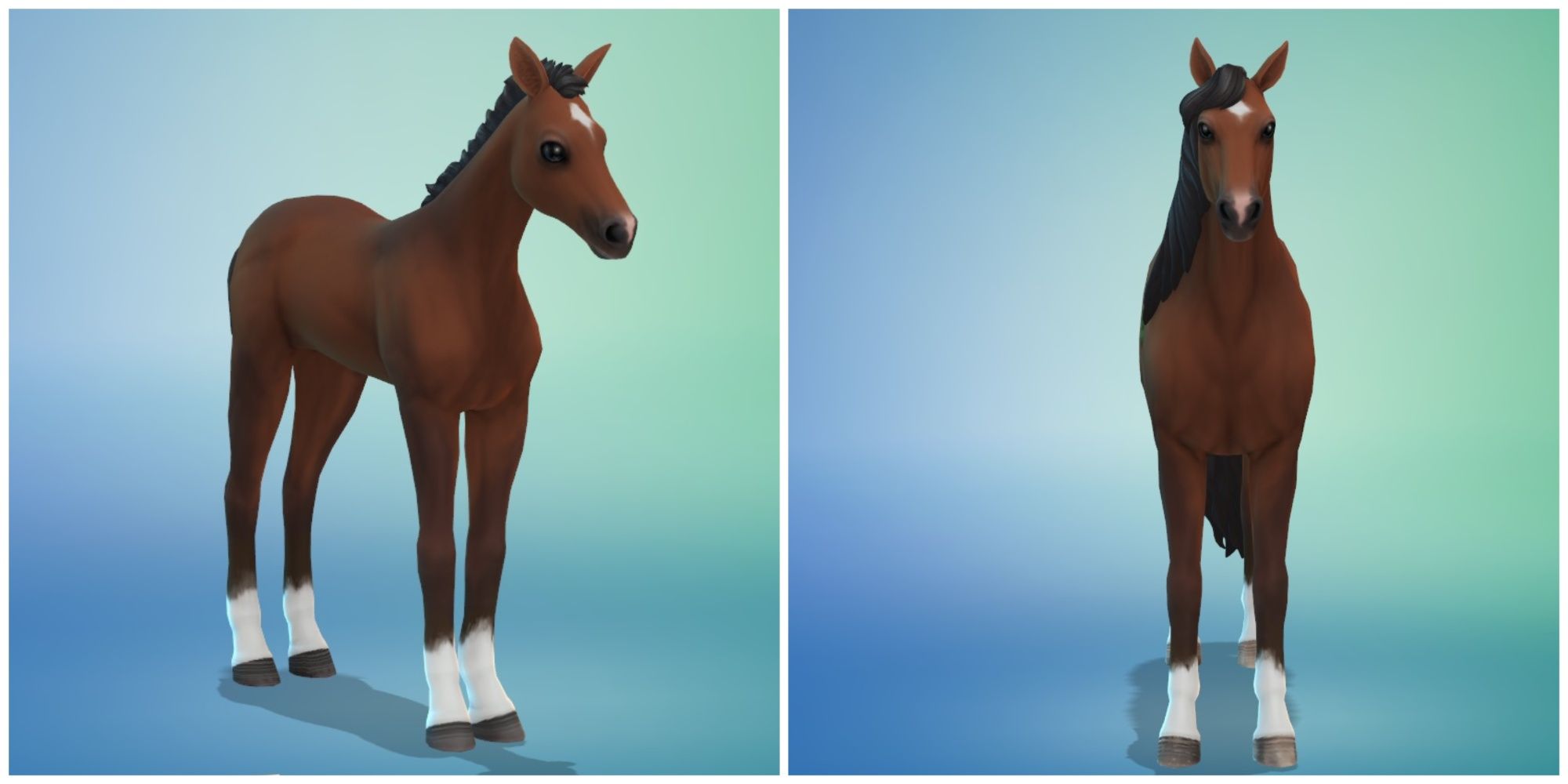 horse in create-a-sim menu