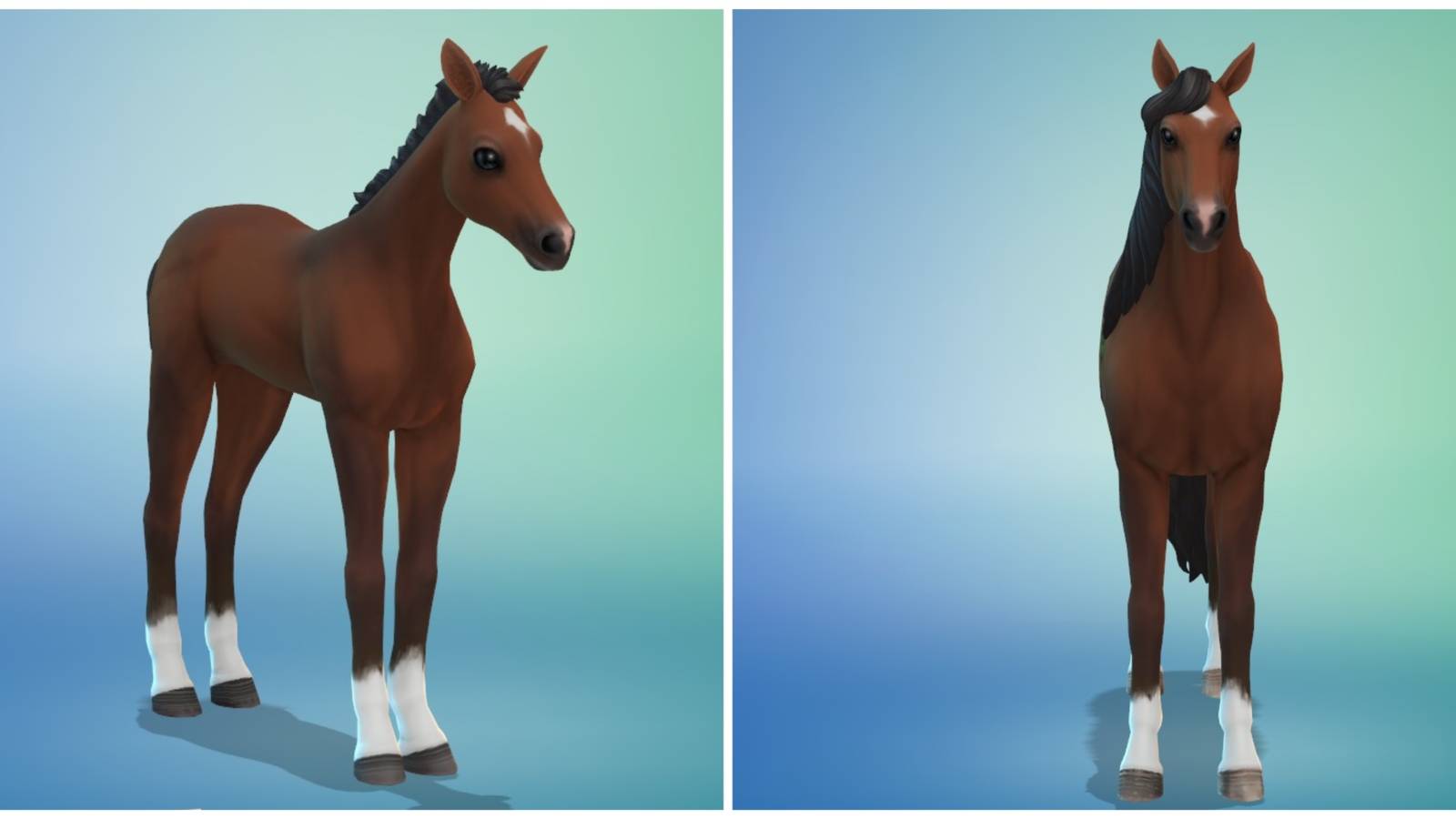 horse in create-a-sim menu