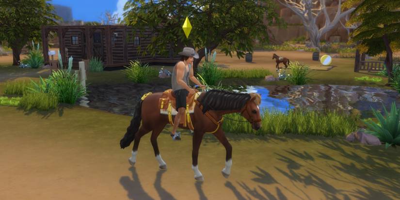 sim taking horse out on a ride