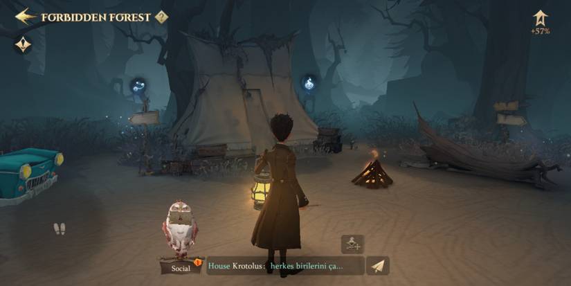 Best Companion cards tier list for Harry Potter: Magic Awakened PvE