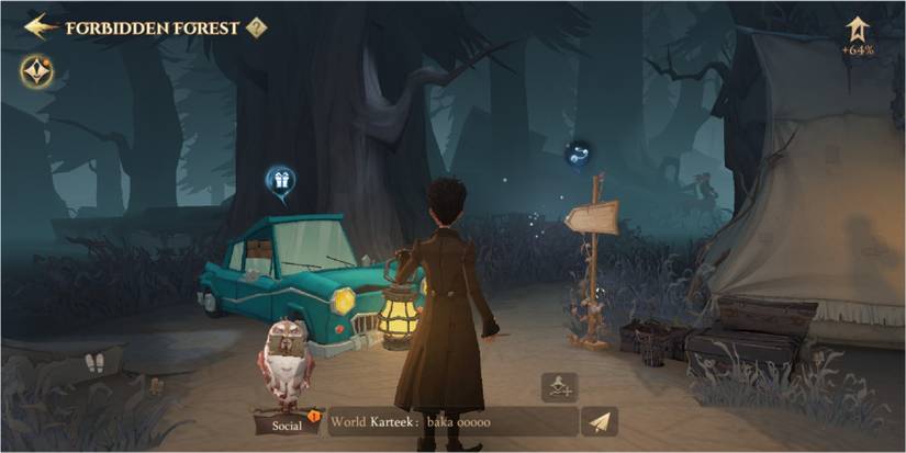 Echo in Harry Potter: Magic Awakened