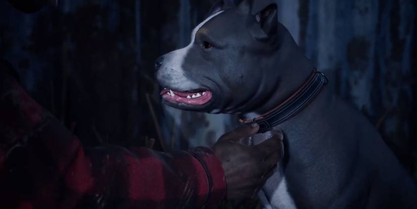 Connie in The Devil In Me being pet by Mark