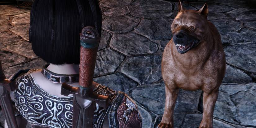 Cousland and her Mabari war hound in the Human Noble origin in Dragon Age: Origins