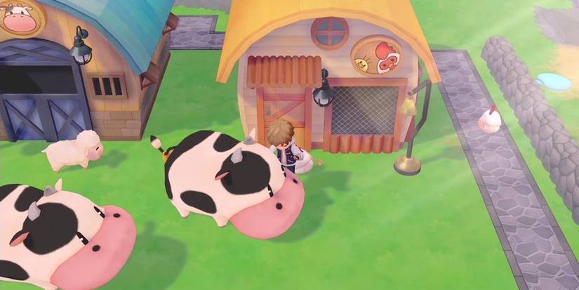 Cows in A Story of Seasons