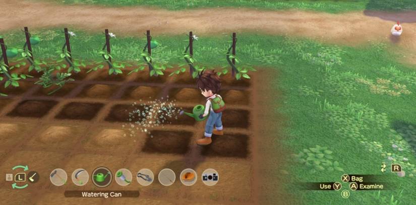 Crops in A Story of Seasons