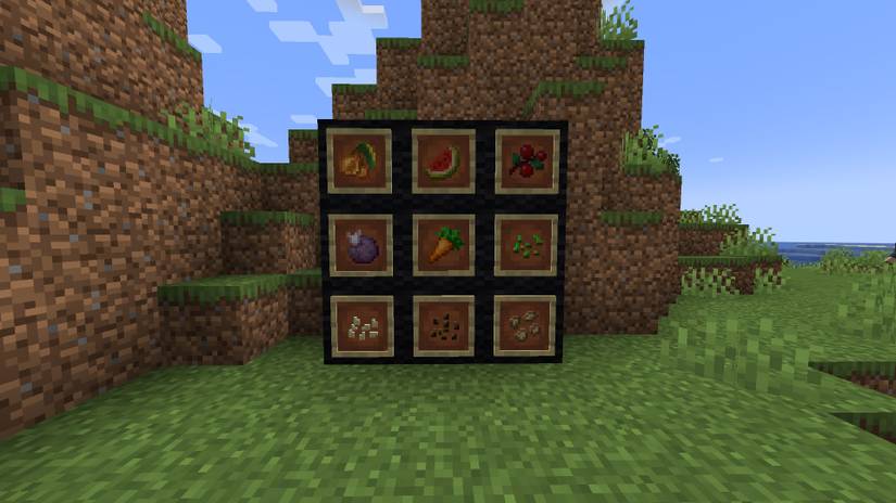 carrot melon blocks item frame seeds