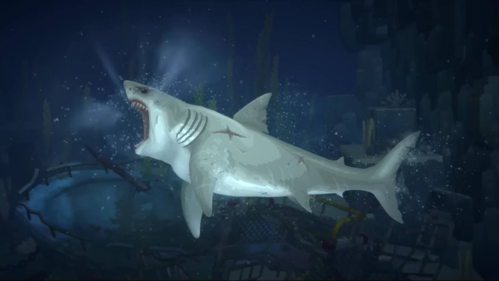 dave the diver tranquilize shark