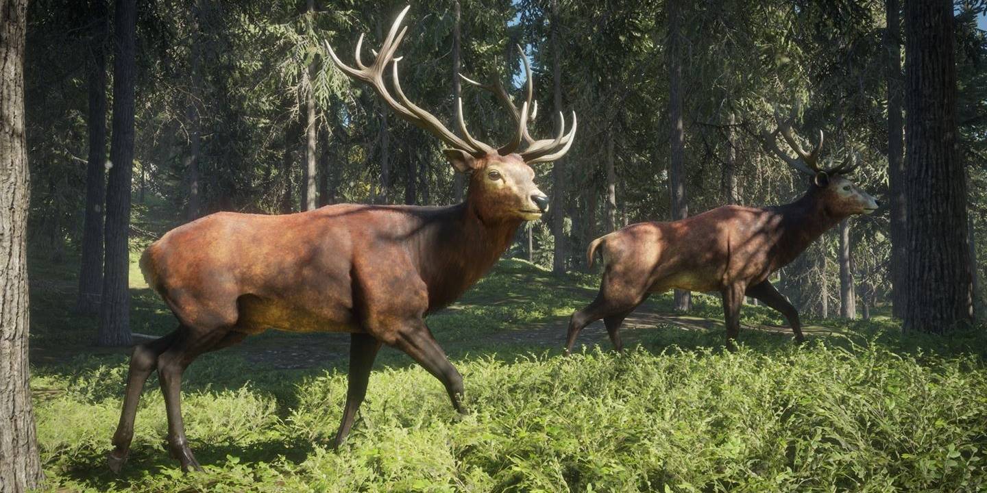 deer-in-the-hunter-call-of-the-wild.jpg (1440×720)