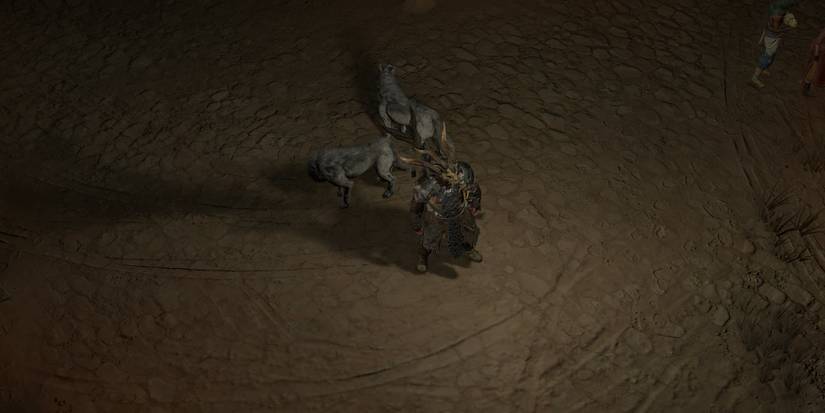 Druid Wolf Companions in Diablo 4