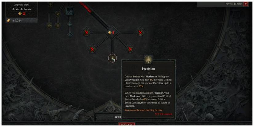 Diablo 4 Precision