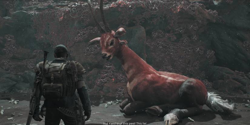 A player facing the wounded Red Doe in Remnant 2
