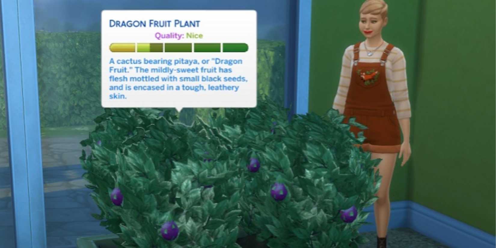 Dragon fruit plant in The Sims 4