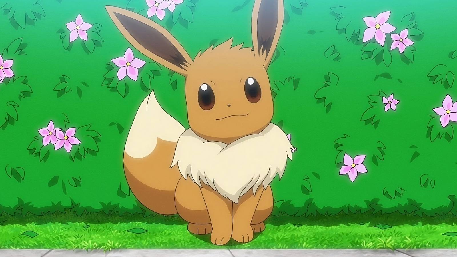 pokemon-eevee