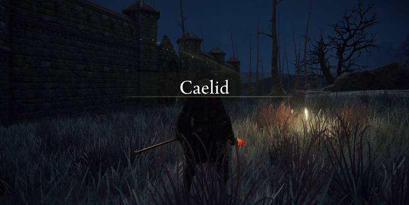 Ring Through Game Examples Elden Ring: Where To Go First In The Convergence Mod
