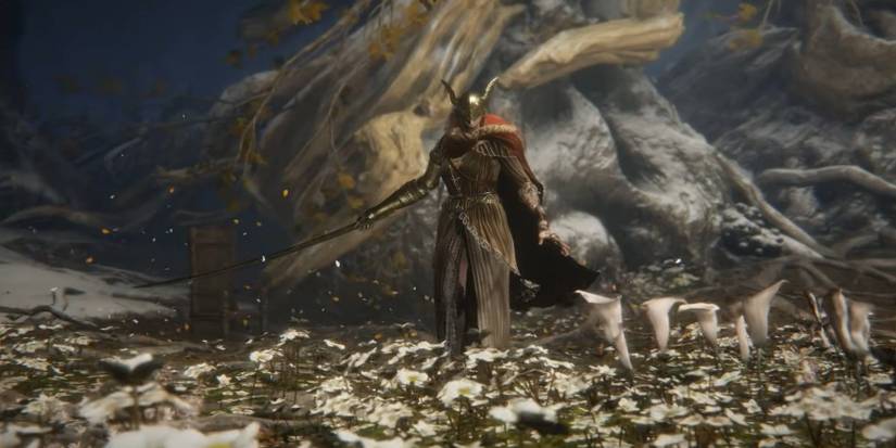 elden ring malenia painting