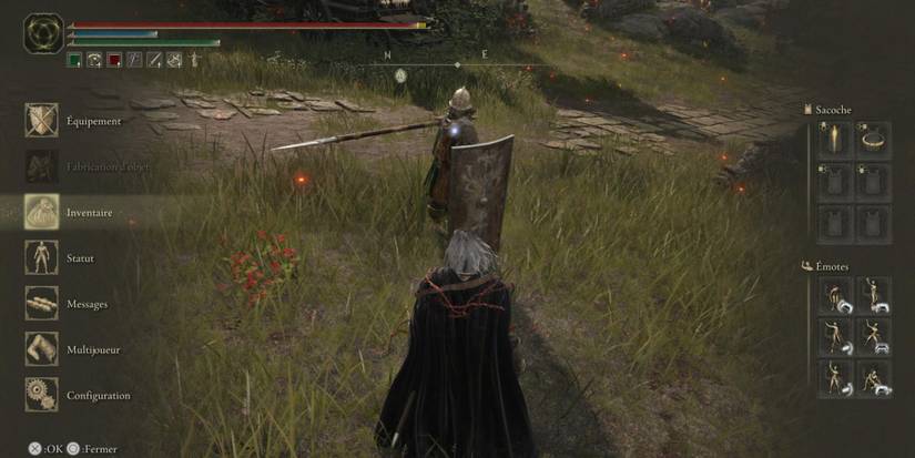 a Tarnished trying to pause the game