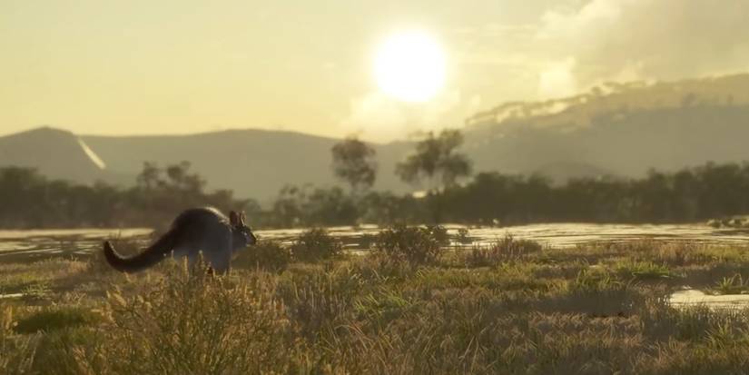 Player hunts for Kangaroos on Emerald Coast