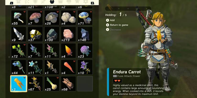 Link holding an Endura Carrot