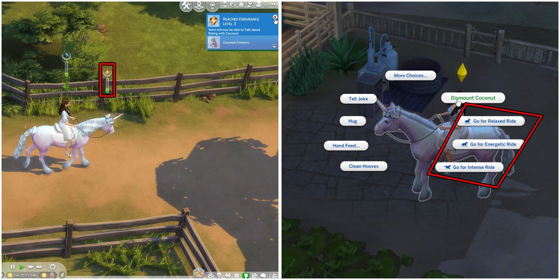 endurance skill in the sims 4
