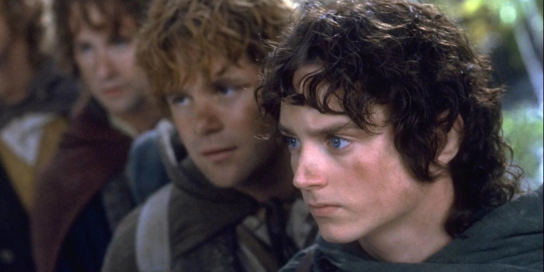 Frodo stands with Sam, Merry, and Pippin