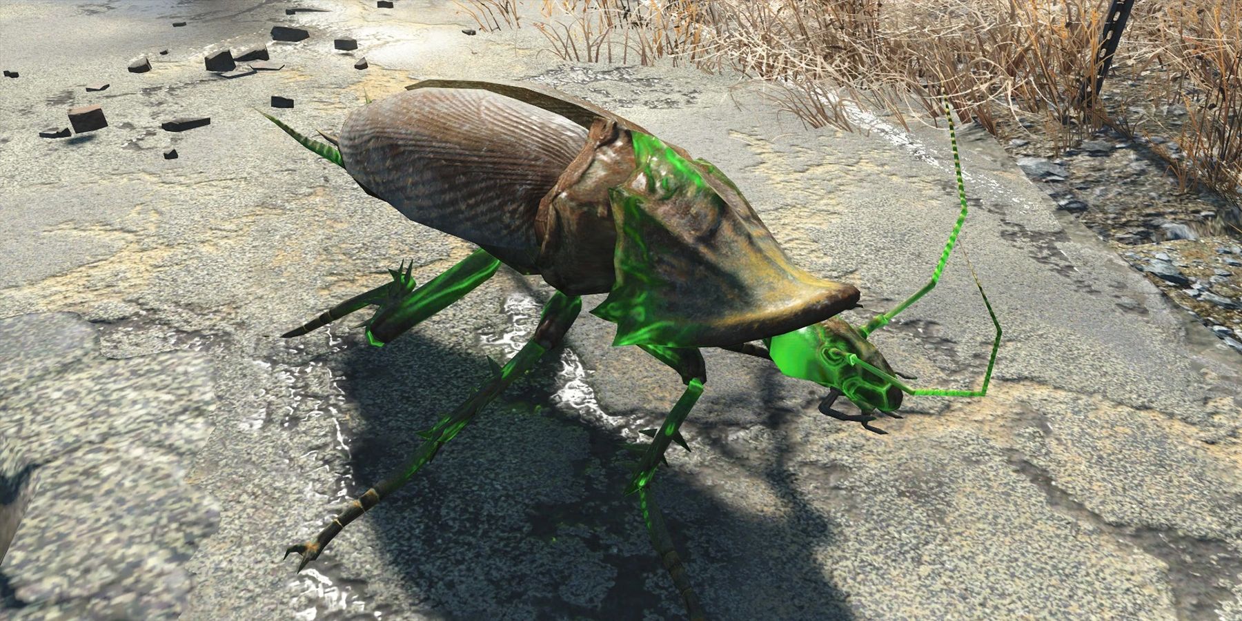 fallout 4 legendary radroach kill incredibly lucky drop