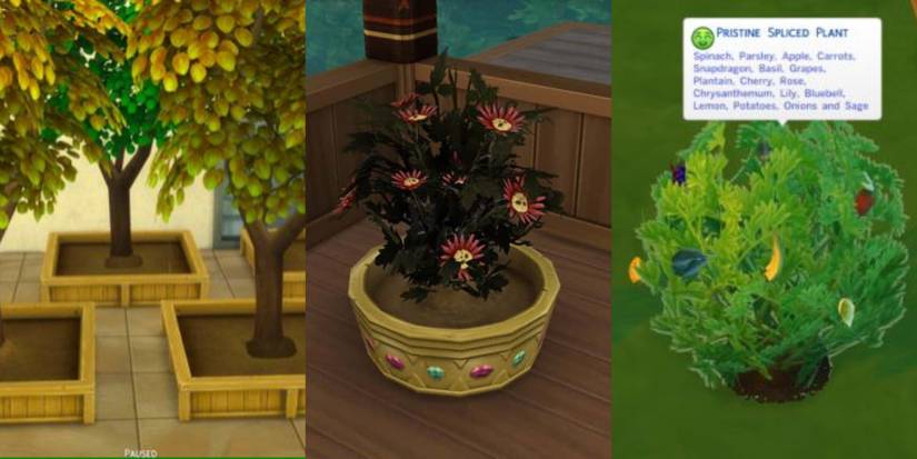 Three pictures of plants in the Sims 4, one of some money trees, one of the death flower, and one of a spliced plant