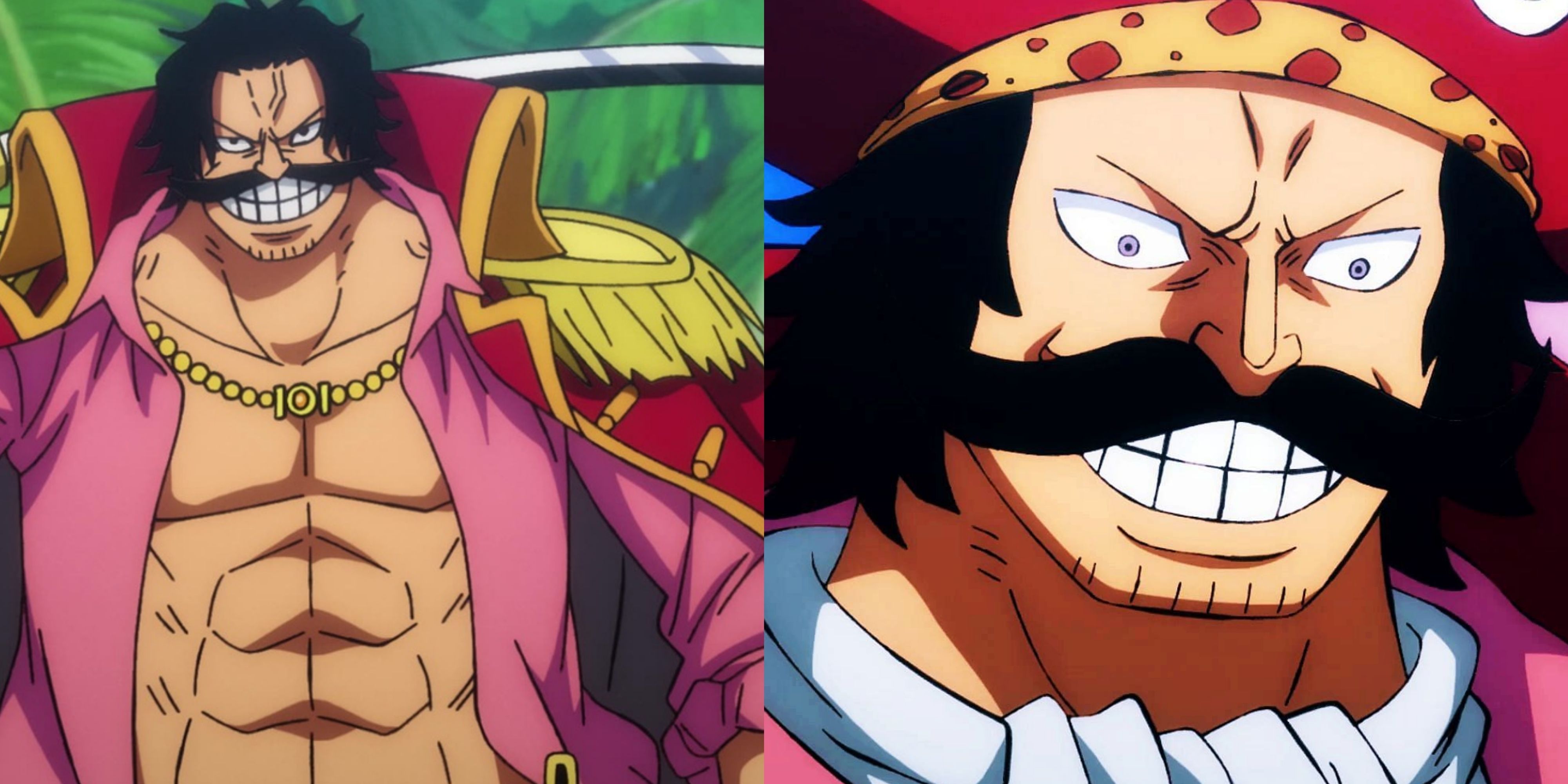 A Complete List Of Gol D Roger's Crew In One Piece