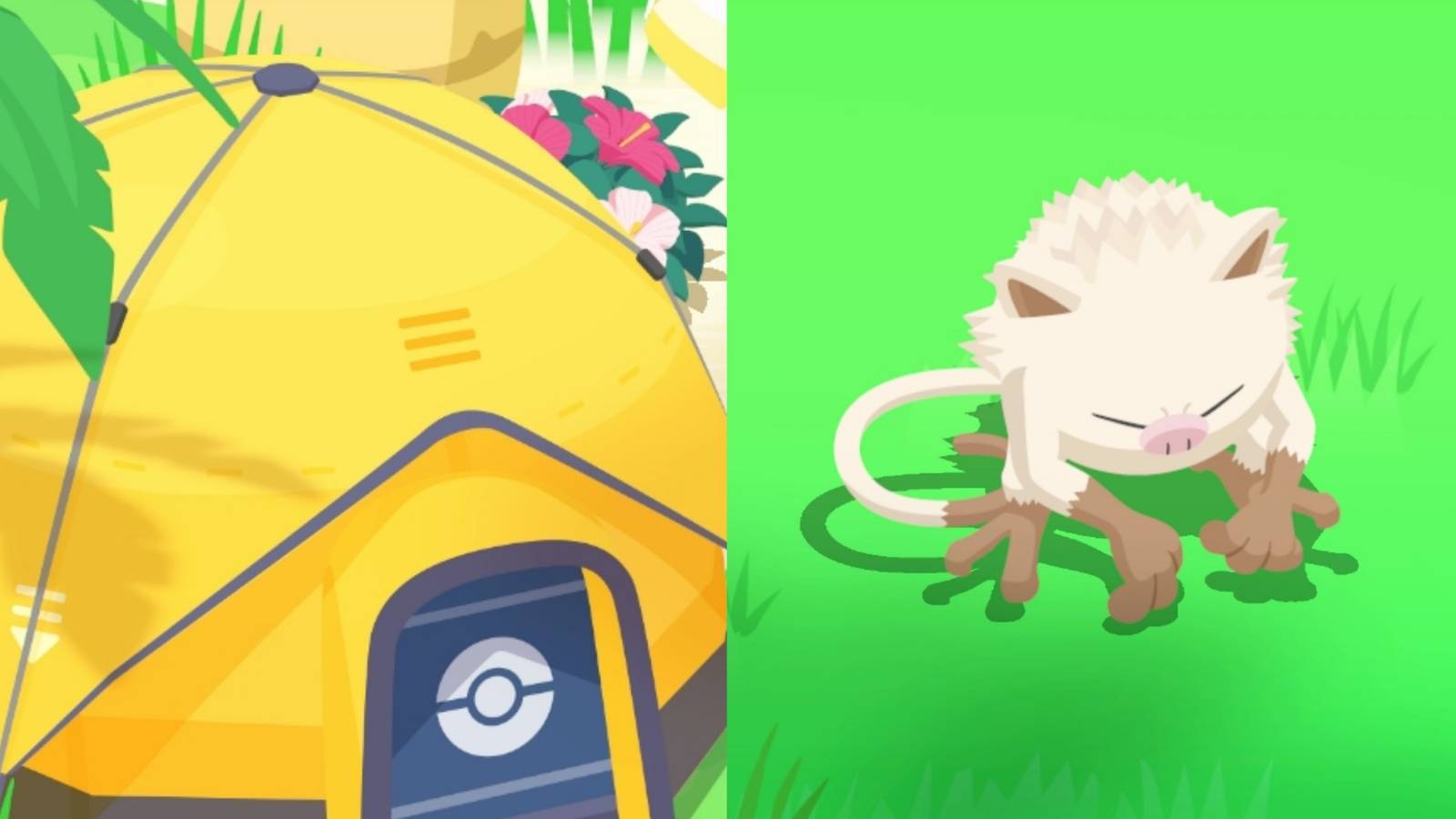 featured Pokemon sleep what is good camp set and how to use it