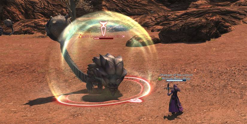 FFXIV Long Tailed Armadillo