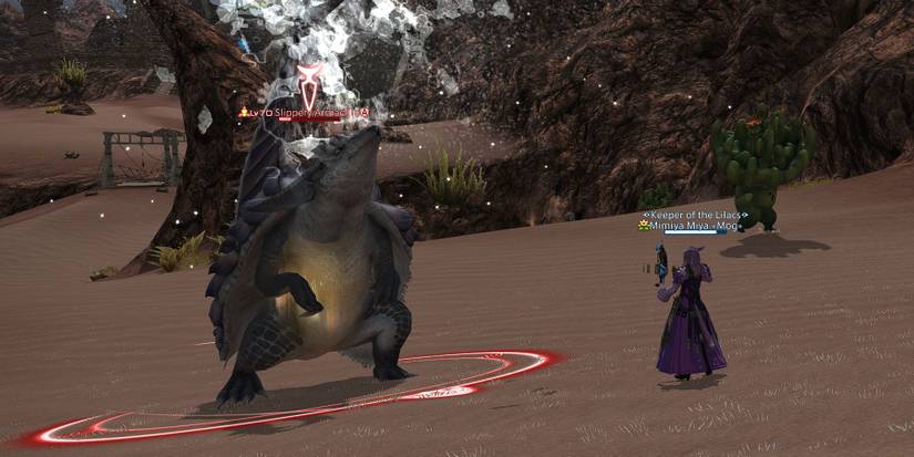 Slippery Armadillo casting in Final Fantasy XIV.