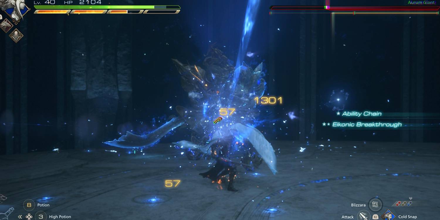 The Last King The Last King