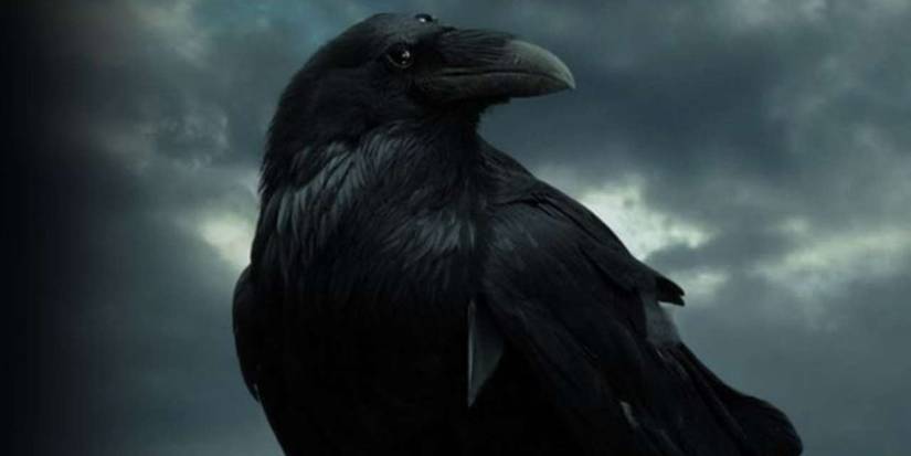 game-of-thrones-three-eyed-raven Cropped