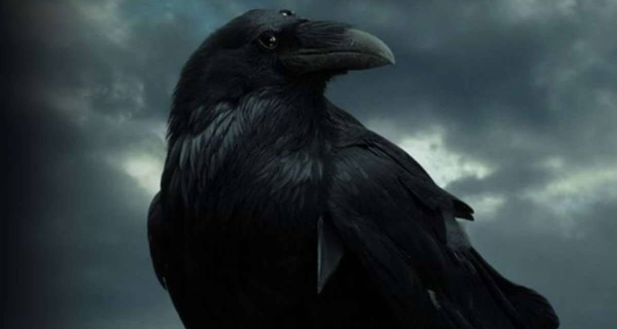 game-of-thrones-three-eyed-raven Cropped