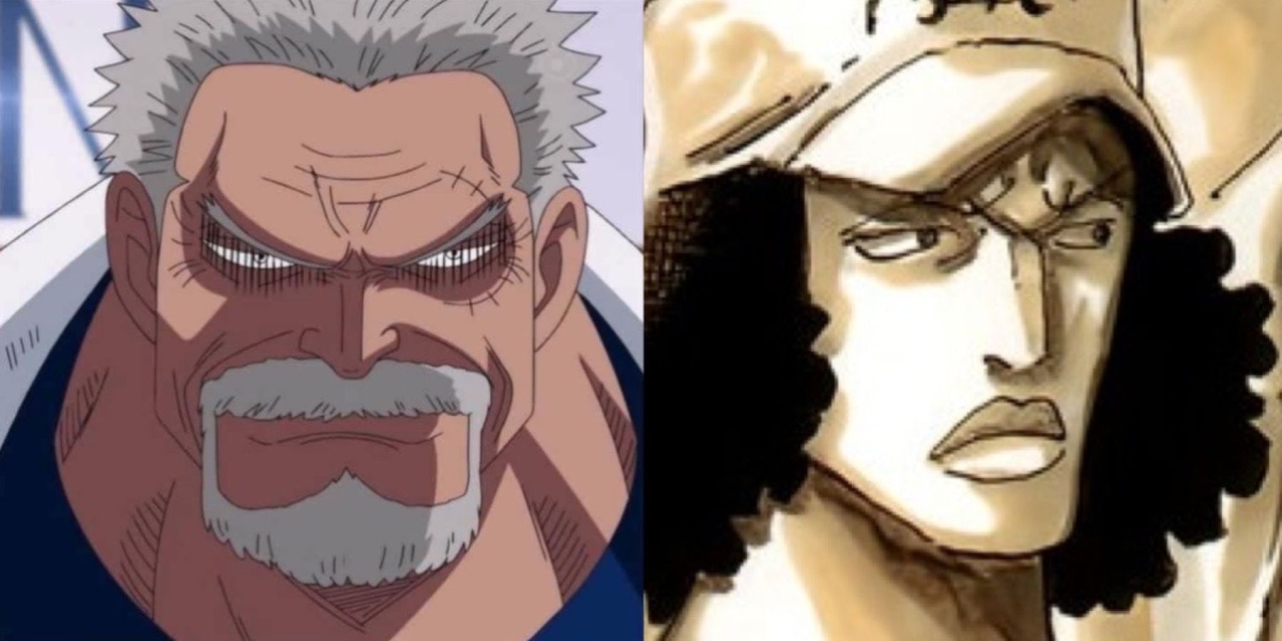 One Piece: Garp And Kuzan's Past, Explained