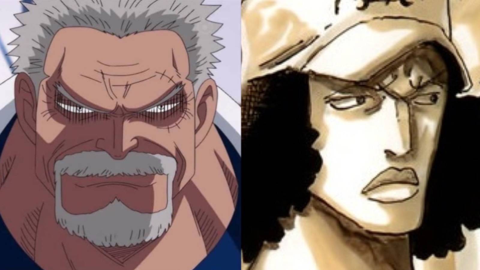 garp and aokiji past one piece