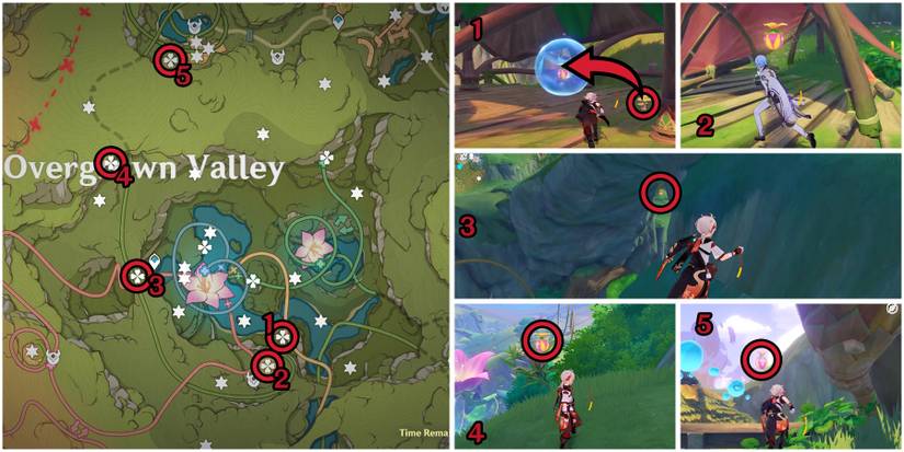genshin impact overgrown valley joyeux voucher location 1-2-3-4-5