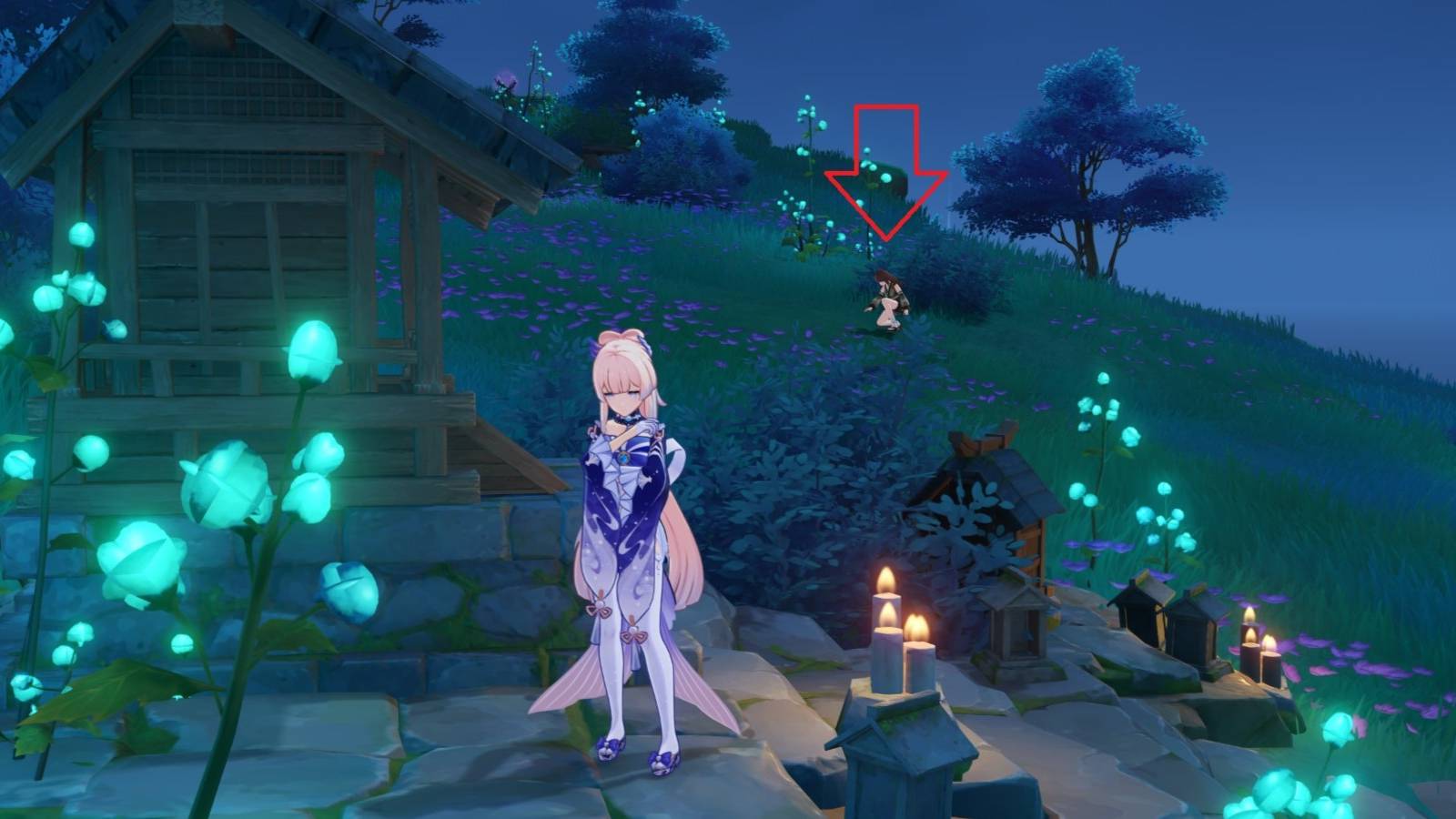 where to start the second blooming hidden achievement in genshin impact