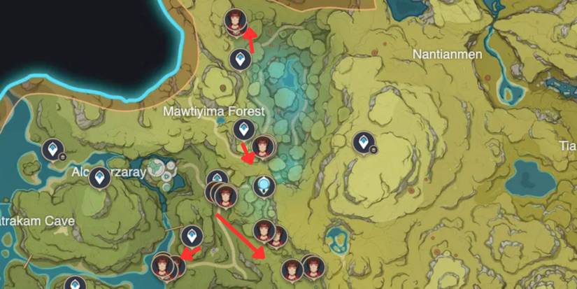 Genshin Impact_ Treasure Hoarder Locations in Mawtiyima Forest