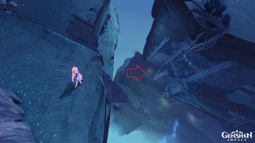 location of the npc ion in genshin impact