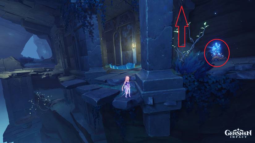 location of the npc isumenasu in genshin impact