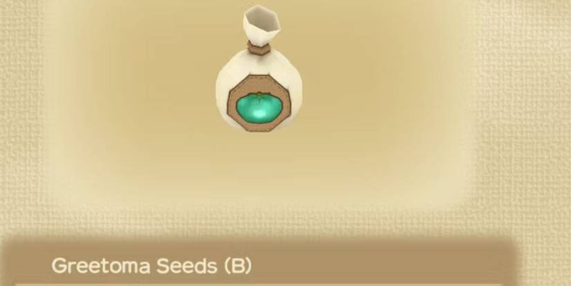 A player looking at Greetoma seeds in Story of Seasons: A Wonderful Life
